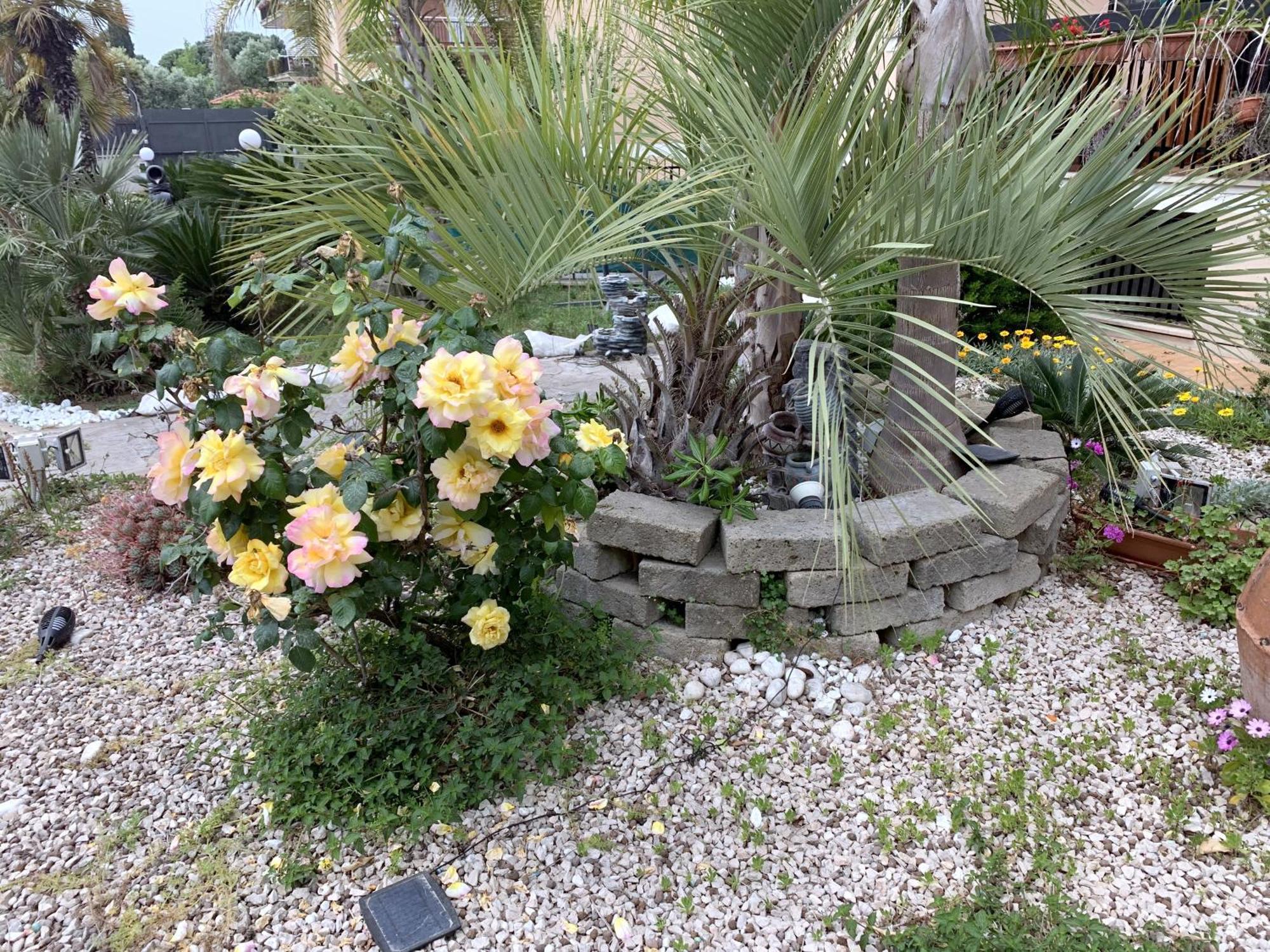 Bed and Breakfast Il Giardino Di Adriana Terracina Zewnętrze zdjęcie
