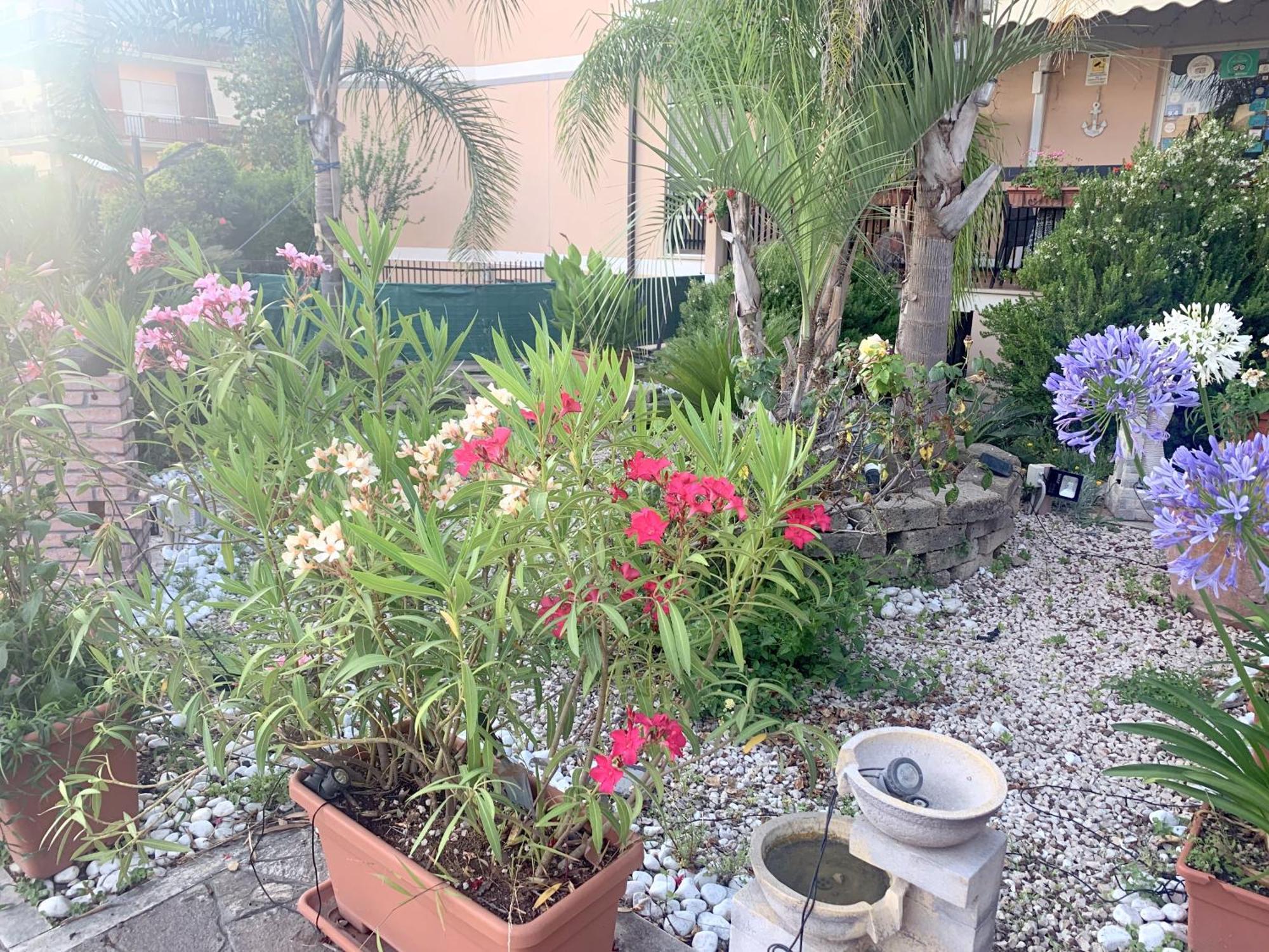 Bed and Breakfast Il Giardino Di Adriana Terracina Zewnętrze zdjęcie